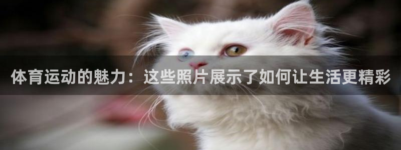杏运5
