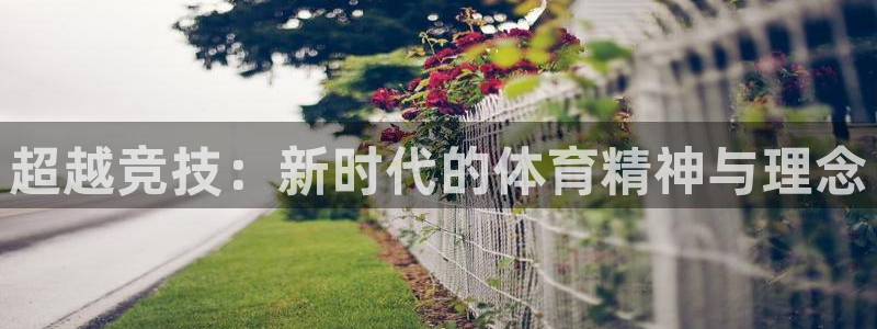 杏运达贝在哪买