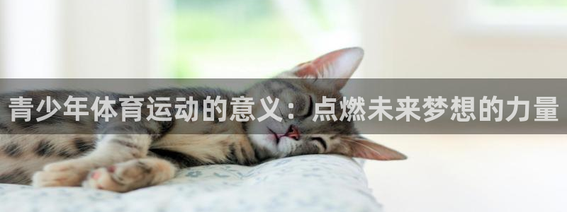 杏运4注册