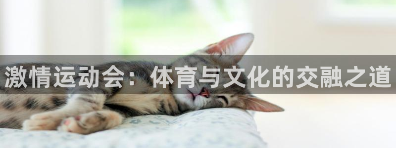 杏运体育热门赛事有哪些