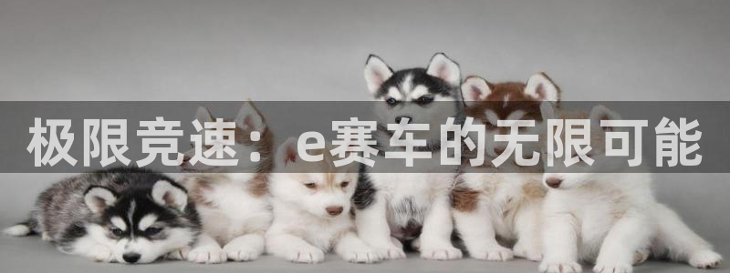 杏运5