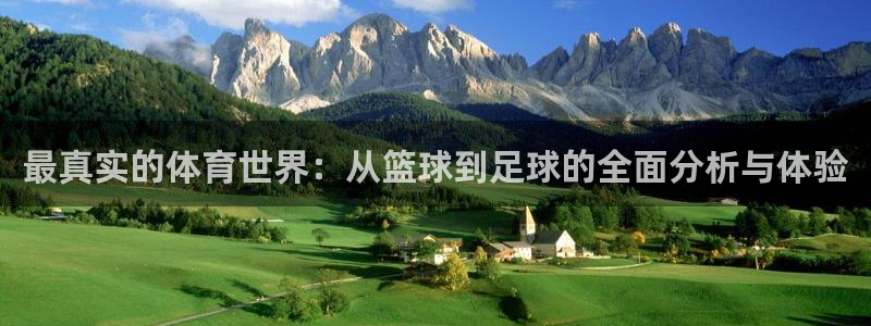 杏运新能源汽车价格