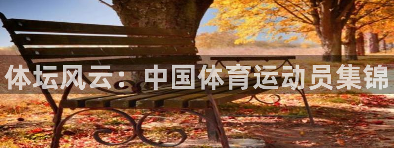 杏运平台招商