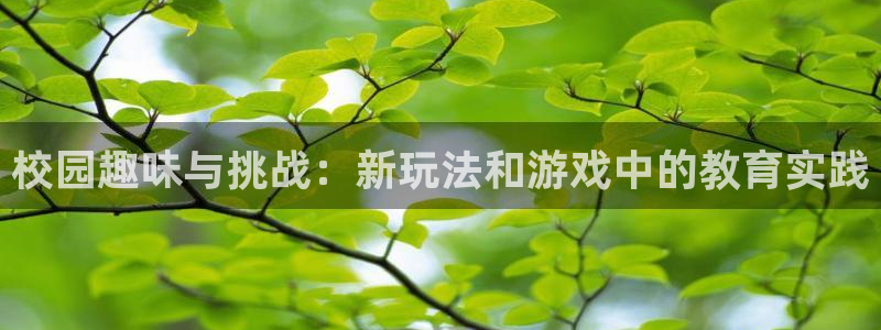 杏运新能源汽车