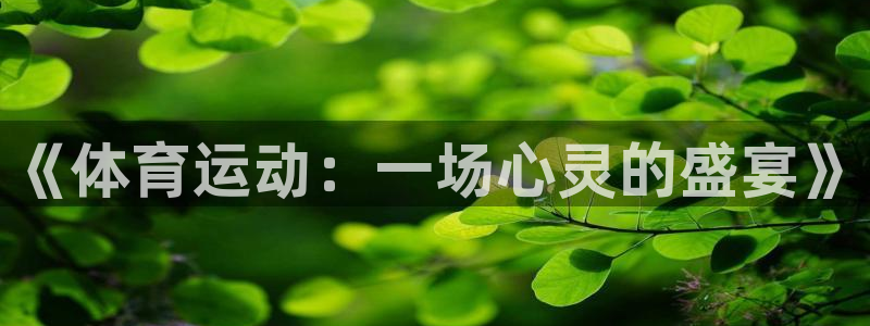 杏运娱乐登录