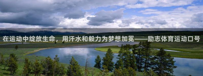 杏运平台主管