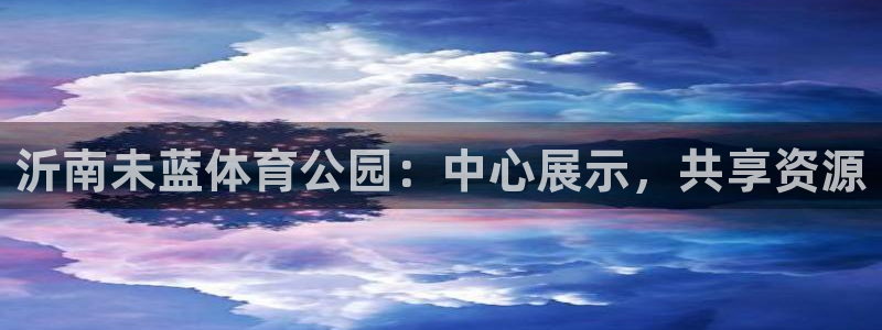 上海杏运汽车电子有限公司