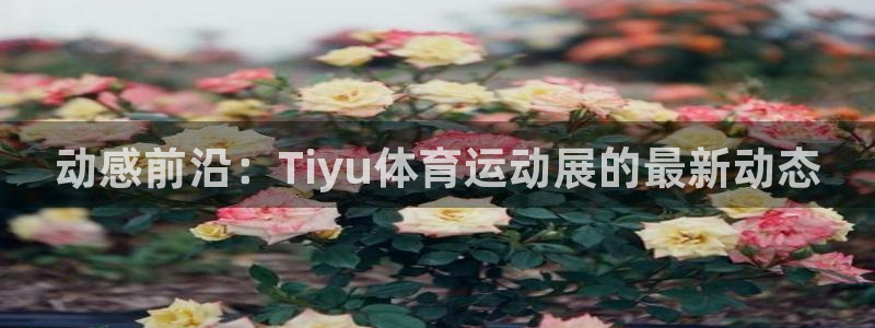 杏运达贝钙
