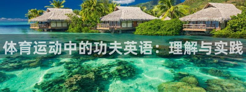 杏运3代理