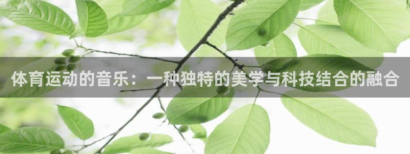 杏运电子有限公司
