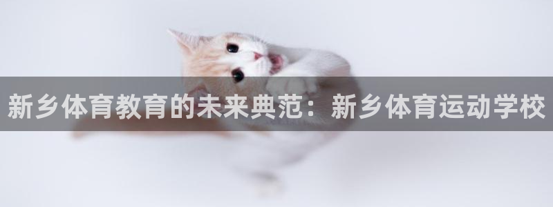杏运达贝钙是什么