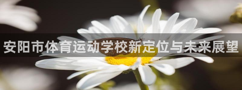 杏运体育凯捷平台招商