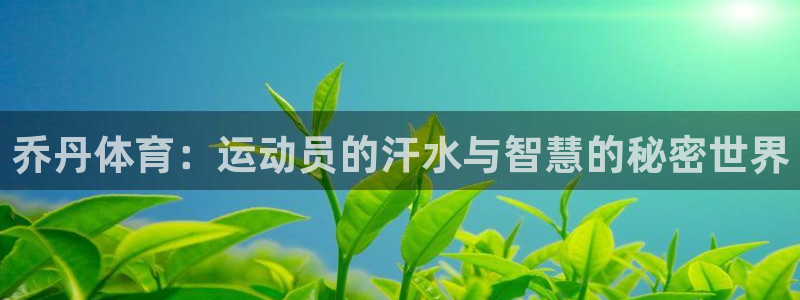 杏运4平台注册