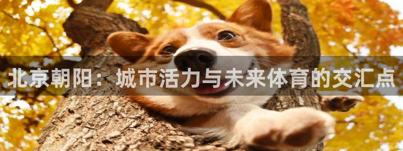 杏运体育免费注册入口