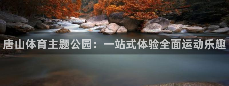 成都杏运电子有限公司