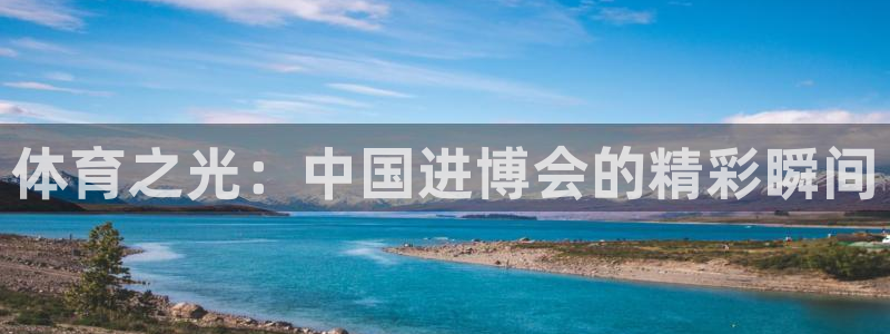 杏运平台开号