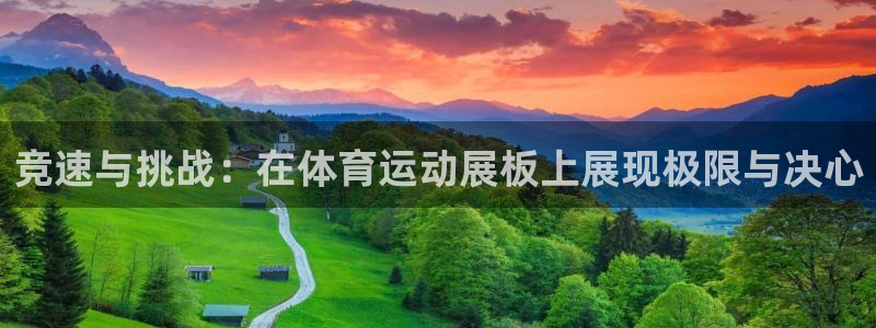 杏运达贝怎么吃