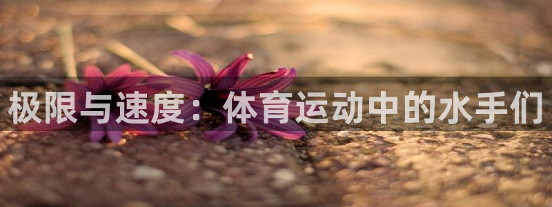 福建杏运机电股份公司