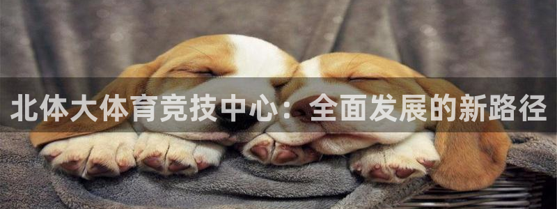 杏运新能源汽车厂家在哪里