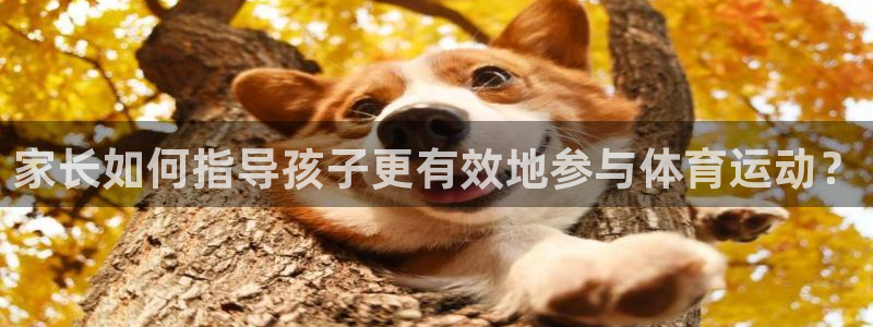 杏运达贝是什么